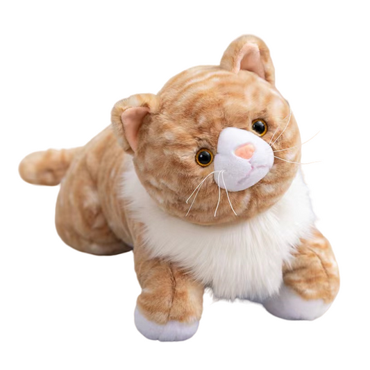 Lying cat 60cm
