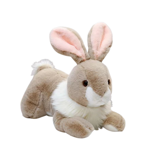 Lying rabbit bunny
