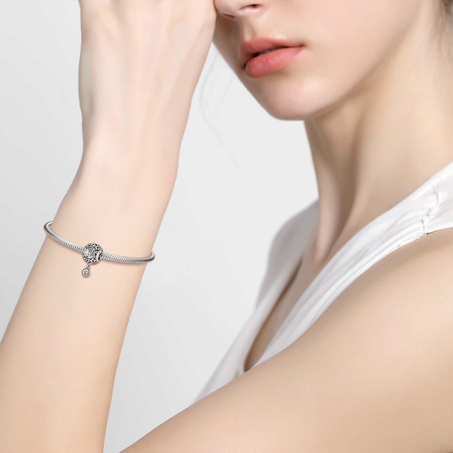 New Twelve Constellations Charms for Bracelet and Necklace in S925 Sterling Silver to fit Pandora Bracelet